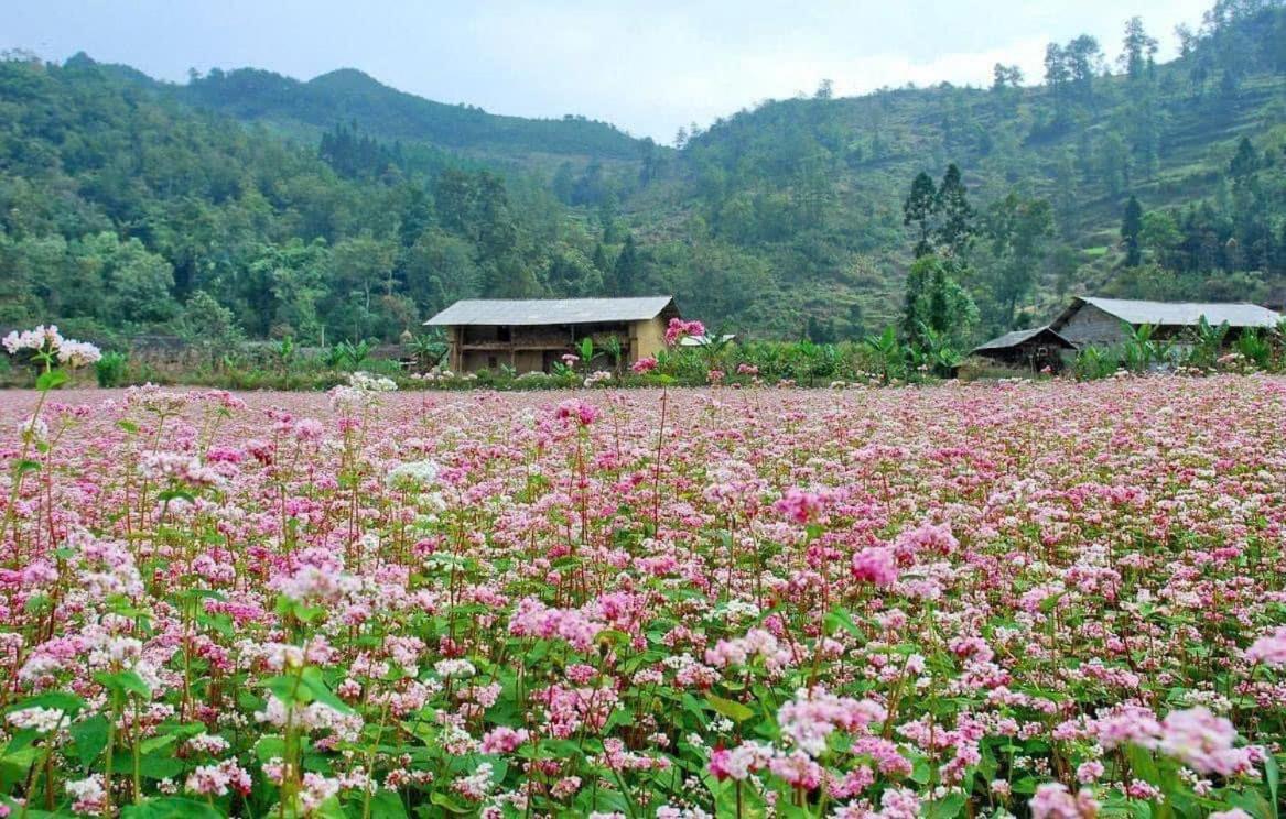 Thuy Anh Hotel Ha Giang Exterior photo